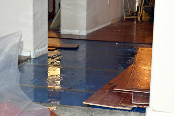 Professional Basement Water Removal technician working in Hamilton, MO